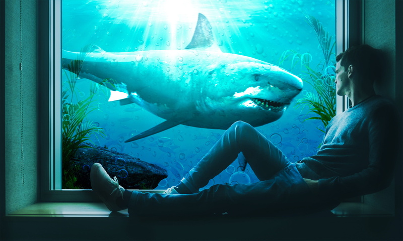 swimming, marine, shark, two people, males, underwater, ocean, animals in the wild, indoors, men, animal wildlife, fish, aquarium, sea, water, 2K, animals in captivity