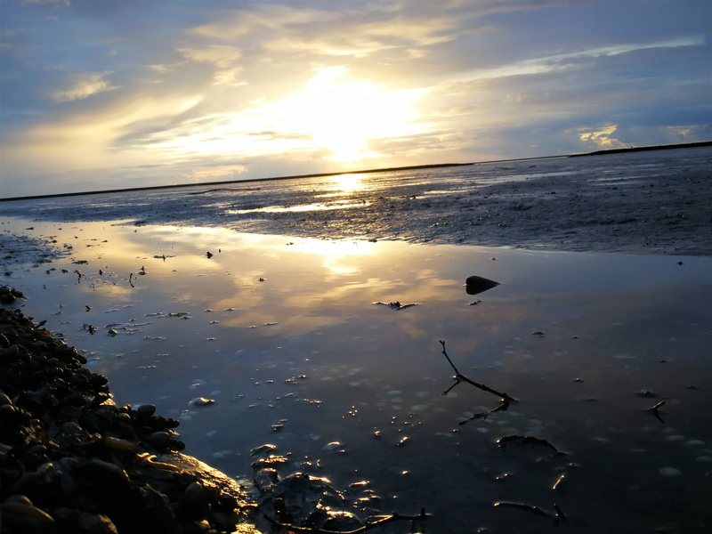 outdoors, sea, sky, water, scenics - nature, deich, germany, westermarsch ii, horizon, nature, reflection, sonnenuntergang, non-urban scene, cloud - sky