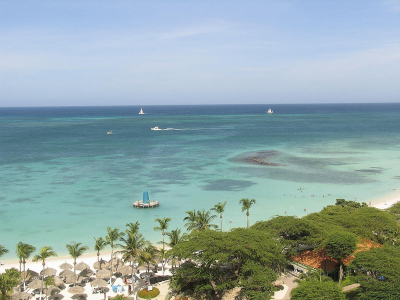 Coast, Palm Trees, 720P, water, Aruba, island