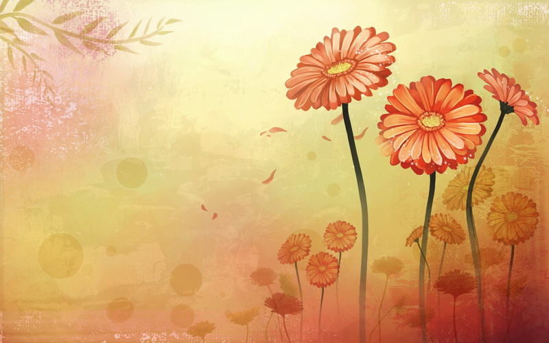 camomile, springtime, plant, flowering plant, low angle view, inflorescence, retro Styled, painted Image, pink color, summer, indoors, old-fashioned, animal wildlife
