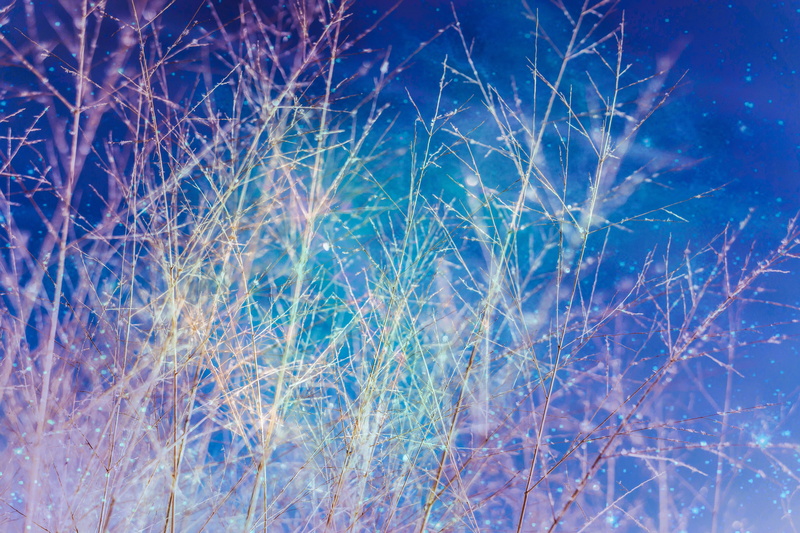 shiny, frozen, nature, cold - Temperature, weather, snow, motion, pattern, beauty In Nature, glowing, glass - material, illuminated, light - Natural Phenomenon