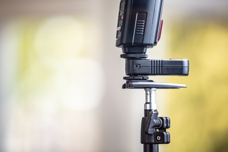focus on foreground, white, bird, lens, technology, equipment, day, electronic, device, green, black, food, input device, bokeh, machine, surveillance