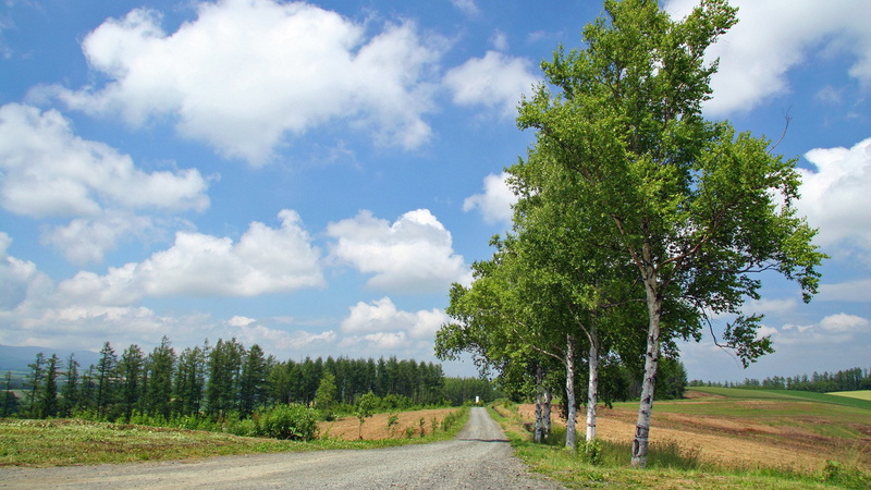 HQ, 1080P, hokkaido, fields, Landscape, art, HD, nature