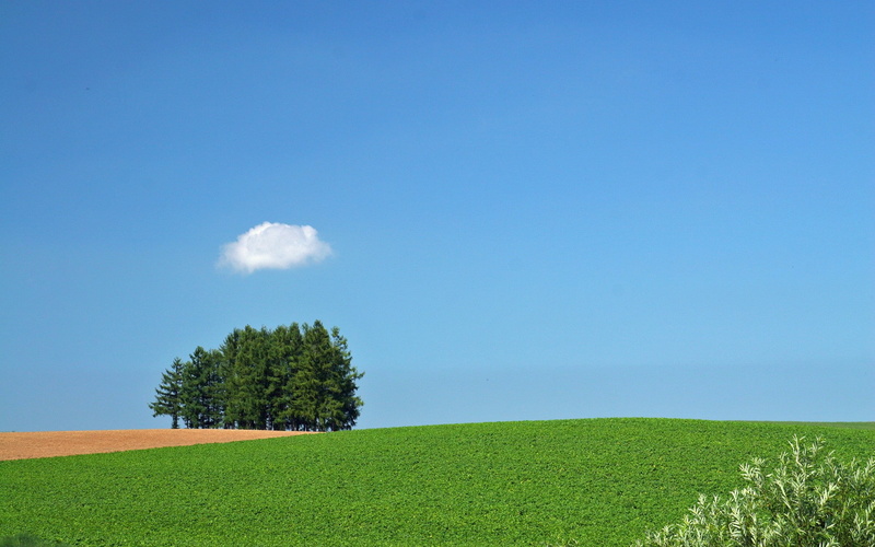 fields, HQ, nature, art, Landscape, 1080P, HD, hokkaido