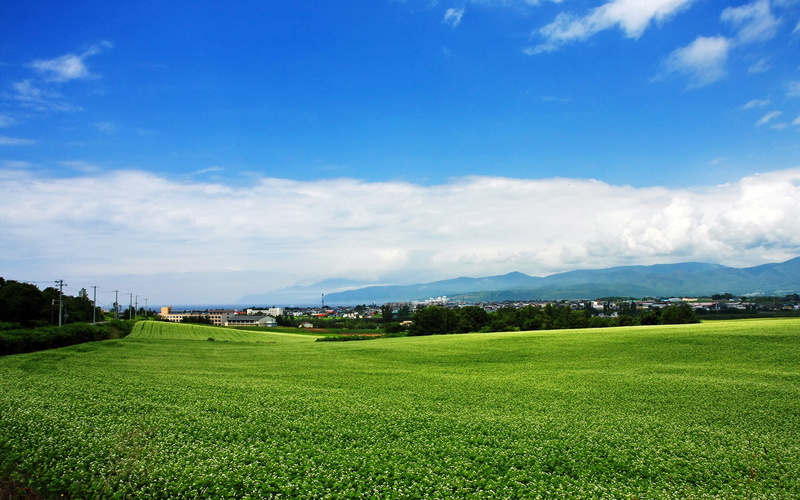 Landscape, HQ, hokkaido, HD, art, nature, fields, 1080P