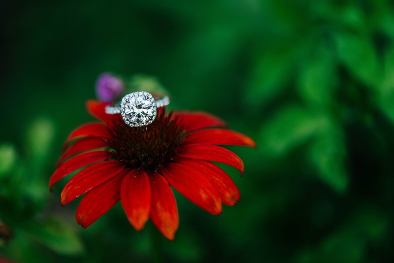 flower, red, stone, ring, Echinacea, 1080P