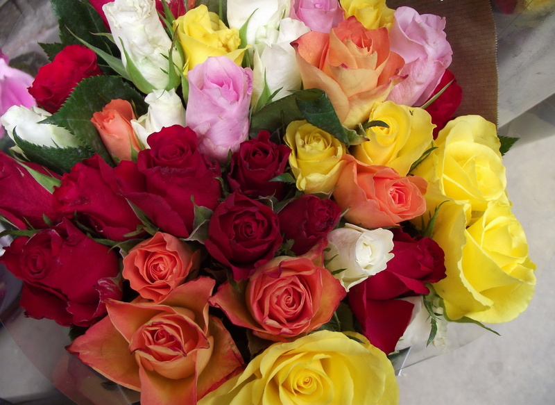 petal, romance, valentines Day - Holiday, 1080P, wedding, bunch of flowers, flower Head, nature, bunch, beauty, leaf, roses, red, backgrounds, pink Color