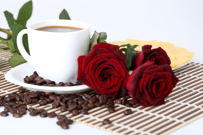 rose - Flower, leaf, drink, table, food and drink, morning, decoration, indoors, saucer, nature, plate, wood - Material, brown, heat - Temperature, cafe