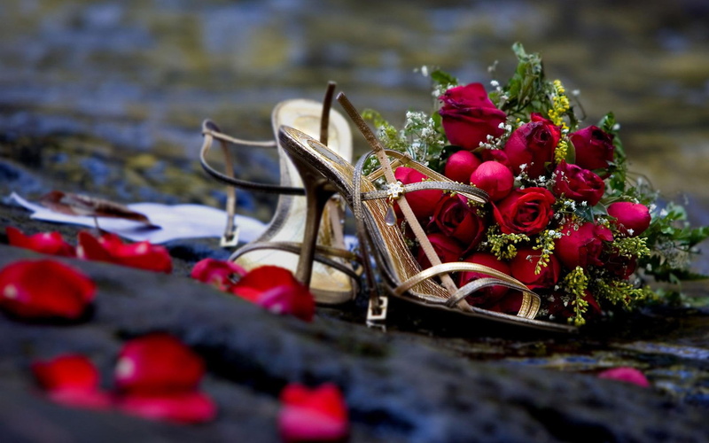 rose, heels, golden, red, 1920x1200, roses, flowers, shoes, pair, open, 1080P, brown, toe