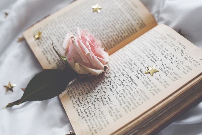 flowering plant, fragility, flower head, decor, beautiful, tis, nature, leaves, literature, open, petal, leaf, interior design, 5K, close-up, beauty in nature