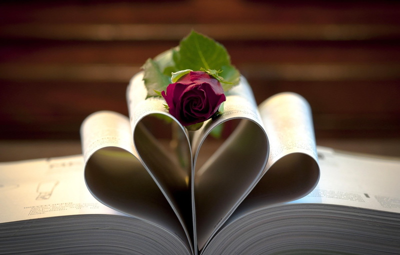 celebration, flowering plant, bouquet, lies, flower, wedding, old-fashioned, 2K, open, copy Space, gift, close-up, backgrounds, rose, book, symbol, turn