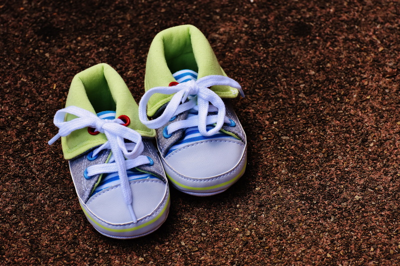 pair, high angle view, sandal, compatibility, slipper, absence, close-up, flowering plant, 5K, outdoors, shoe, small, charming, land, cute, still life