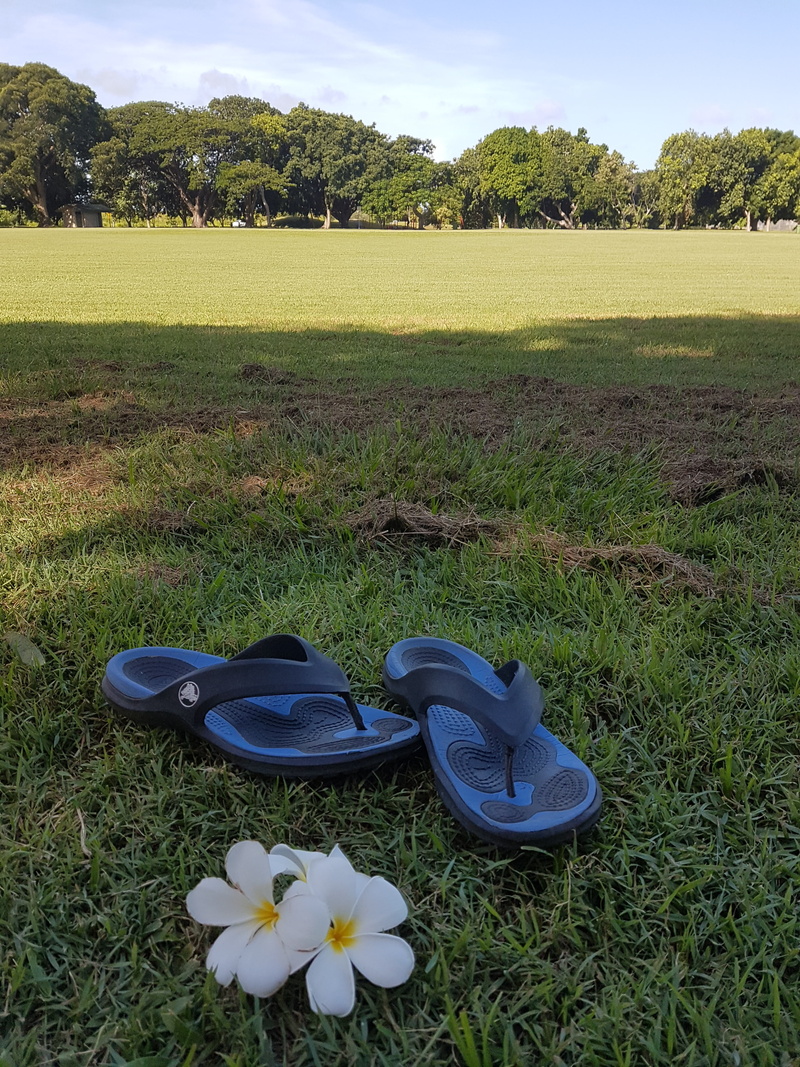 relax, flower, no people, green color, flowering plant, leisure, shoe, tree, day, 4K, plant, sky, outdoors, park, growth, environment, tranquil scene