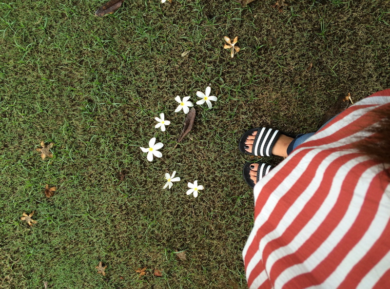 low section, red, Girl, Grass, high angle view, plant, day, adidaschill, Chill, beauty in nature, Creative, green color, Adidas, Plumerias, land, real people