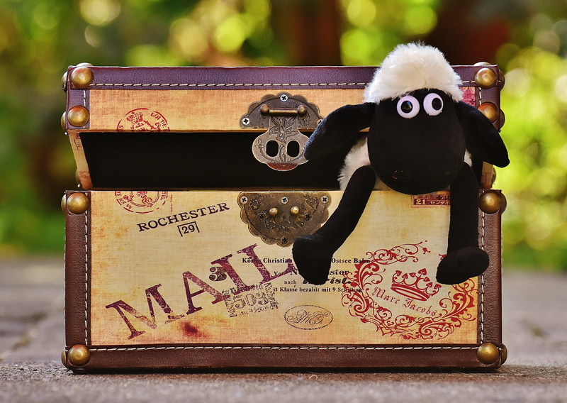 chest, weapon, fun, text, communication, human representation, wood - Material, 4K, sheep, metal, still life, box, no people, old-fashioned, animal, outdoors