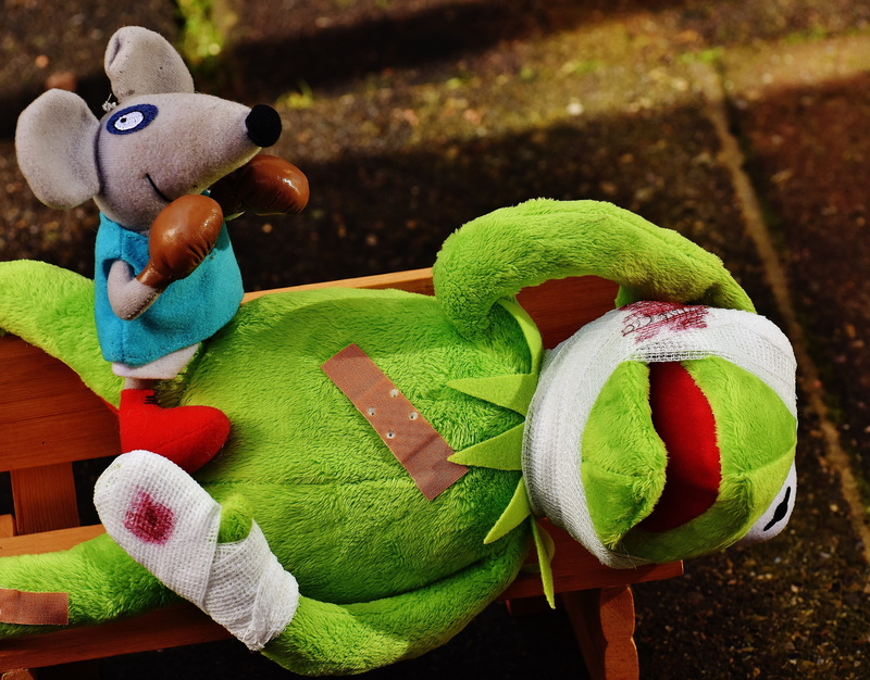 sit, teddy bear, representation, cute, art and craft, focus on foreground, close-up, kermit, bank, day, frog, plush, soft toy, box, creativity, mouse, children