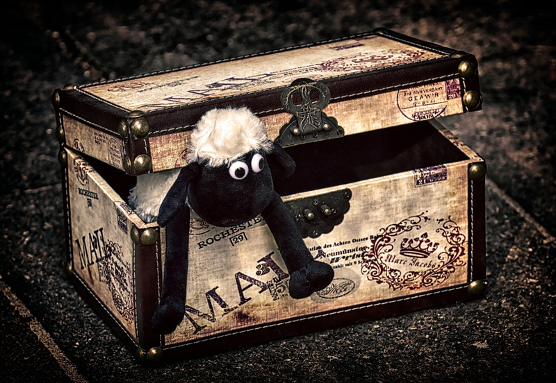 open, box - container, text, no people, container, black background, old, soft toy, communication, 4K, chest, sweet, high angle view, wealth, wood - material