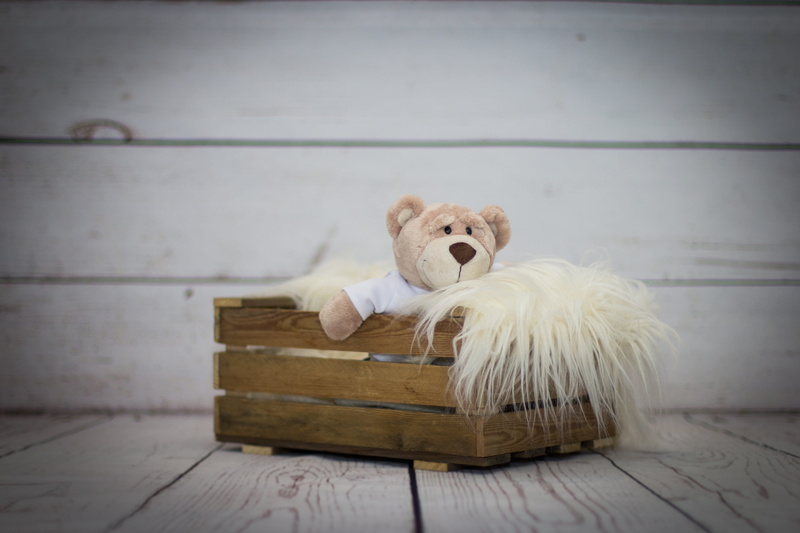 hardwood floor, container, pets, soft, wood - material, domestic, representation, 4K, teddy bear, bear, child, inside, animal representation, white color