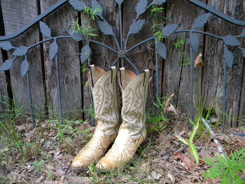 boot, white, boots, tree, leaf, 2K, hanging, footwear, Boots, nature, western, outdoors, plant, snake skin, grass, fashion, low section, people, Cowboy Boots