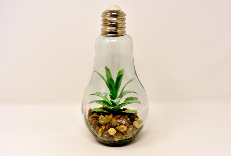 plat, aromatherapy, herbal medicine, decoration, spice, glass - material, light bulb, plant, no people, container, nature, transparent, close-up, arrangement