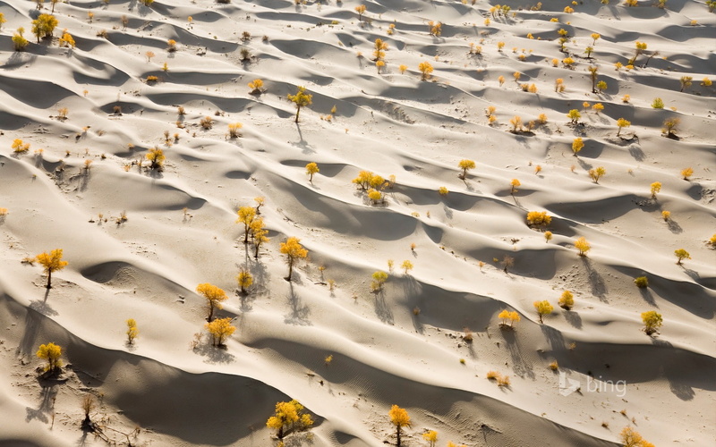 desert, beauty in nature, no people, land, high angle view, yellow, winter, scenics - nature, sand, sunlight, white color, outdoors, theme, covering, backgrounds