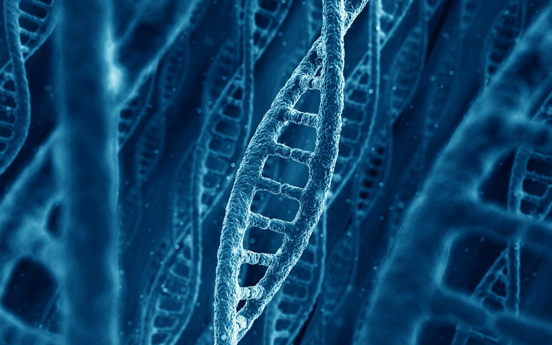 close-up, elegance, molecule, studio shot, no people, textured effect, rag, full frame, design, chain, nature, clothing, textile, industry, single object