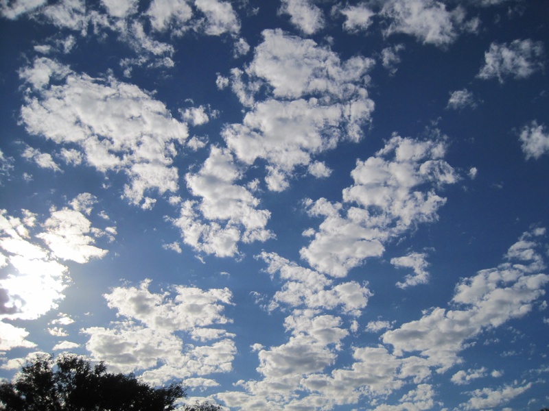 tranquility, tranquil scene, meteorology, clumped, light, environment, cloudscape, dainty, beauty in nature, cloud - sky, blue sky, no people, low angle view