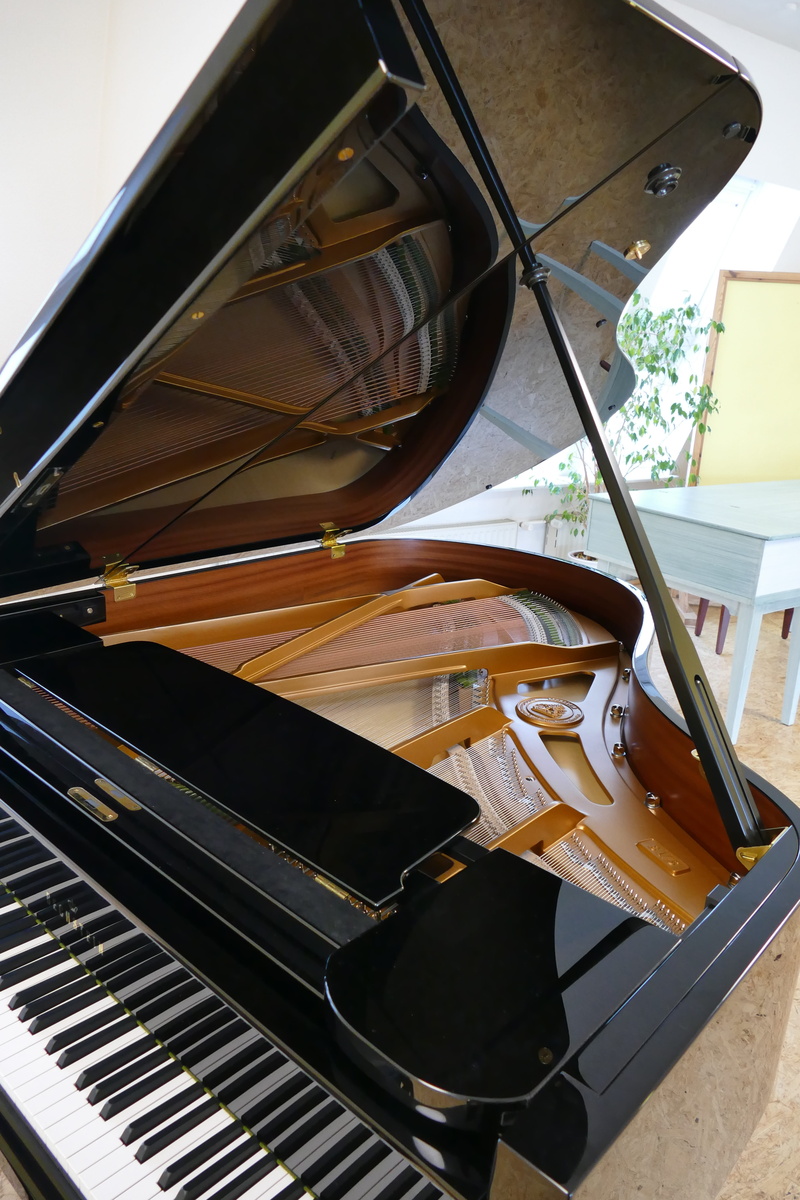 metal, indoors, close-up, high angle view, arts culture and entertainment, still life, grand piano, music, no people, musical instrument, bechstein, day