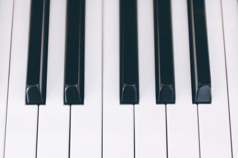 white color, entertainment, sound, arts And Entertainment, indoors, musical Instrument, music, abstract, side by side, keyboard instrument, in a row, close-up