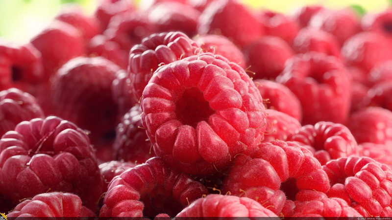plant, food and drink, food, vibrant color, beauty in nature, raspberries, 1080P, nature, full frame, antioxidant, berry fruit, backgrounds, flowering plant