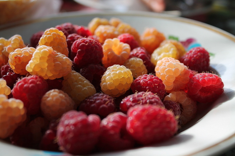 freshness, wellbeing, breakfast, raspberries, healthy eating, no people, plate, food and drink, red, close-up, sweet food, selective focus, sweet, raspberry