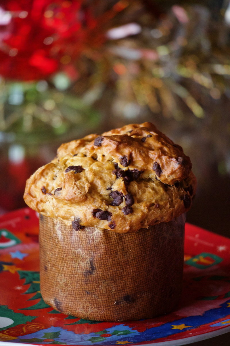 freshness, christmas, pastry, snack, chocolate, ready-to-eat, no people, sweet food, eat, christmas lunch, christmas cake, cake, sweet, crafts, gluten-