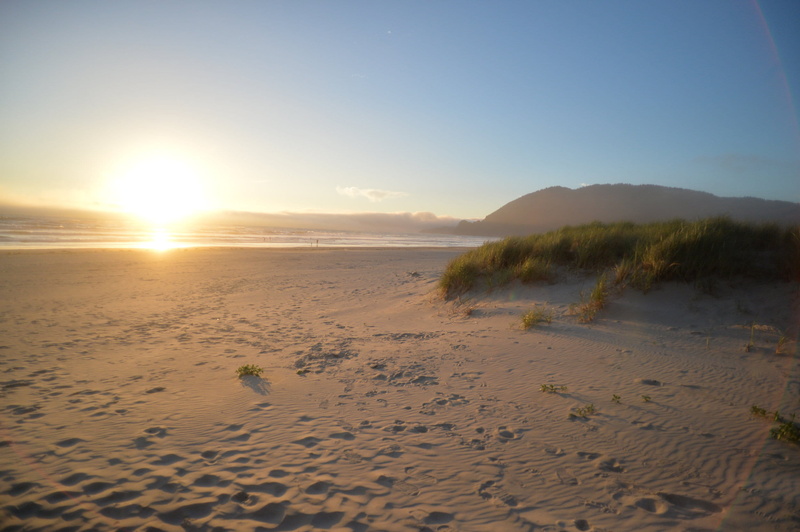 nature, non-urban scene, bright, scenics - nature, clear sky, sea, no people, sunlight, dunes, sun, united states, idyllic, tranquility, oregon coast, oregon