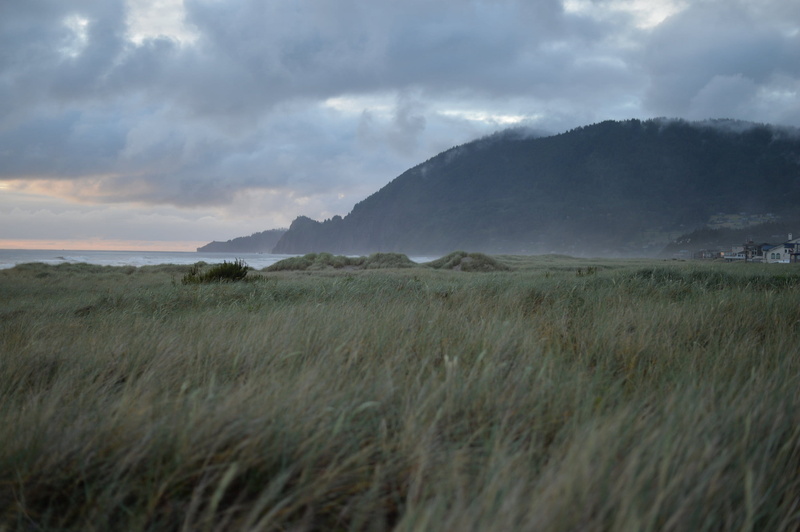 field, day, cloud - sky, scenics - nature, environment, manzanita, beach, tranquil scene, oregon coast, plant, outdoors, united states, growth, grass, moody