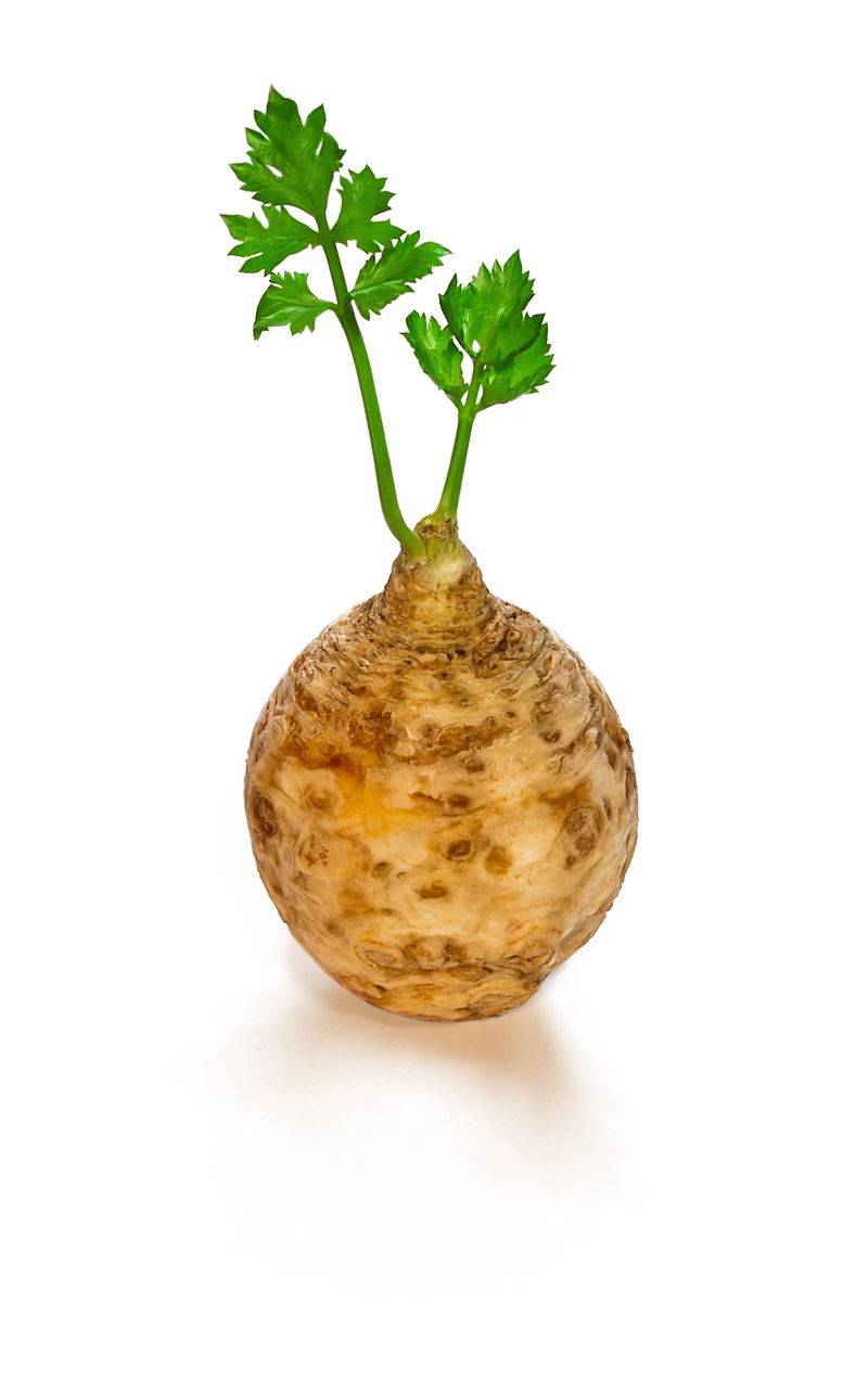 raw food, freshness, single Object, still life, nature, no people, indoors, minimalistic, wellbeing, white, organic, root, Simplistic, food, close-up, cut out