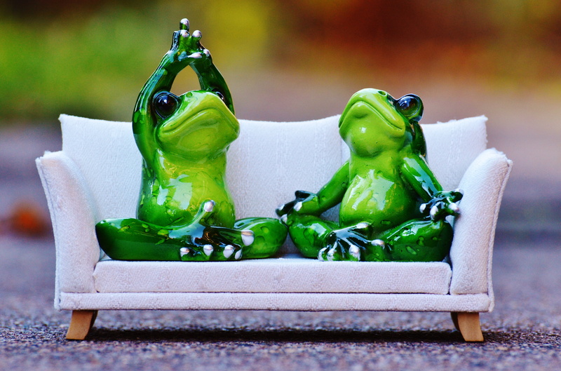 indoors, fun, 4K, wood - material, food, figure, cute, focus on foreground, sofa, sweet food, no people, healthy eating, frog, table, concerns, white