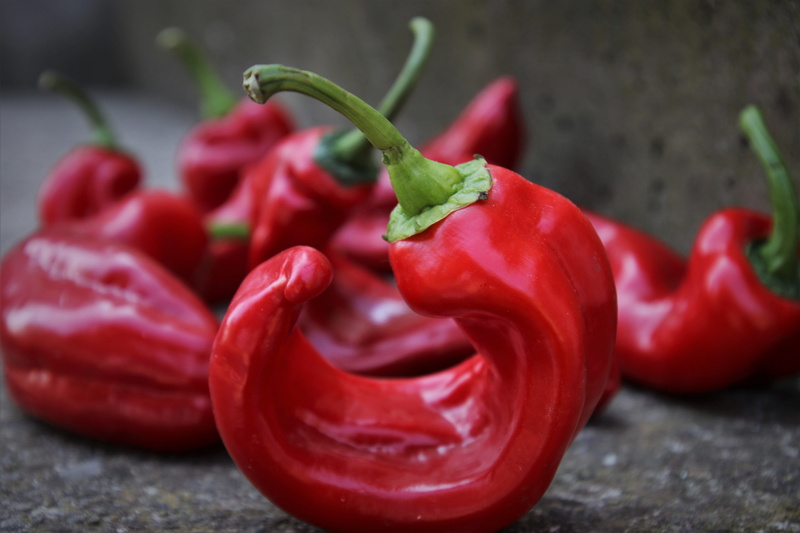 red, the freshness, raw, eat, natural, snacks, still life, diet, vegetarian food, bio, tasty, pepper, vegetables, sweet pepper, close-up, spice, outdoors