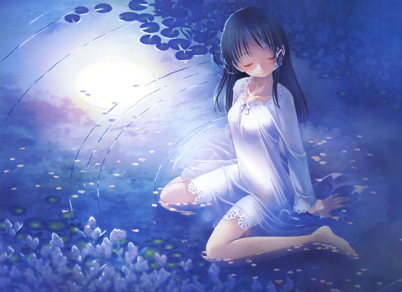 2K, Fortune Arterial, Anime