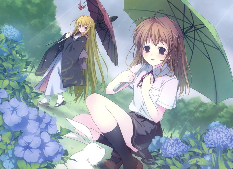 Fortune Arterial, 2K, Anime