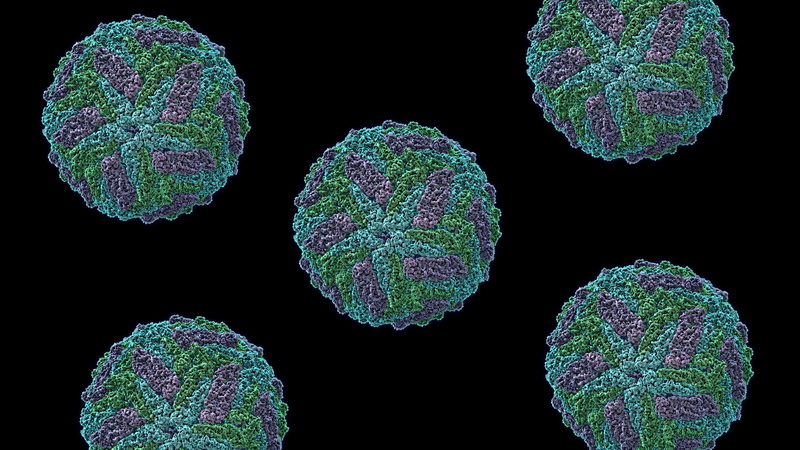 close-up, pattern, no people, Biology, black background, technology, Chemistry, green color, design, medical condition, computer language, indoors, nature