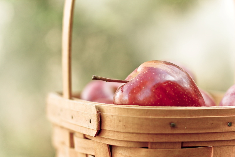 gourmet, refreshment, 2K, summer, harvesting, basket, apple - Fruit, day, red, ripe, honeycrisp, vegetarian Food, wood - Material, nature, container, focus on foreground