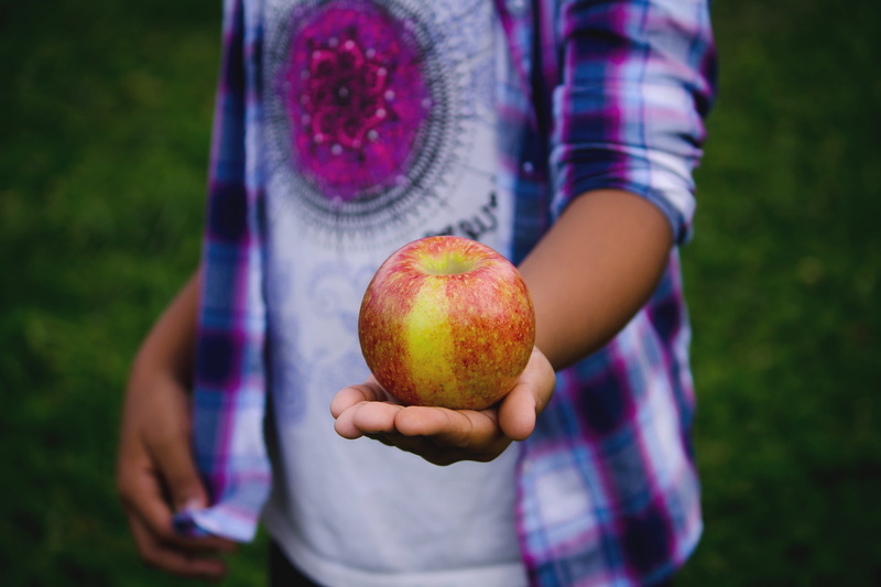 front view, fall, fun, casual clothing, green, focus on foreground, one person, honeycrisp, human hand, apple, fruit, childhood, autumn, offspring, hand