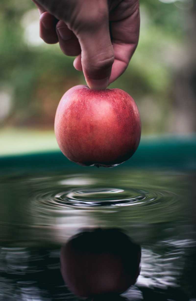 close, close-up, healthy, beauty, czechia, red, nature, produce, real people, beautiful, fruit, person, water, wet, plant, finger, vendryně, body part