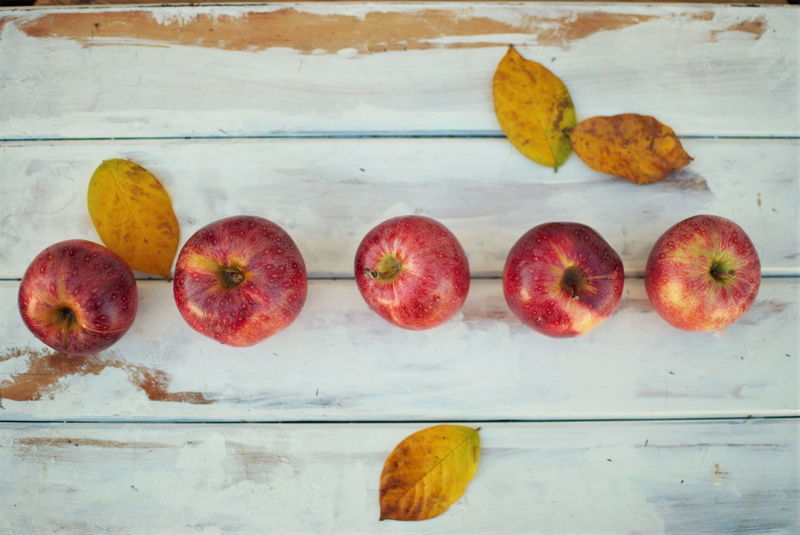 apple, wellbeing, autumn, flatlay, crop, fall, table, 4K, apples, frutum, holiday, high angle view, white, freshness, color, fruit, pallet, old, indoors