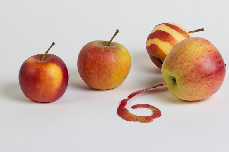 ripe, fruit, close-up, group, still life, wellbeing, four objects, group of objects, small group of objects, 5K, plant stem, fruits, white background