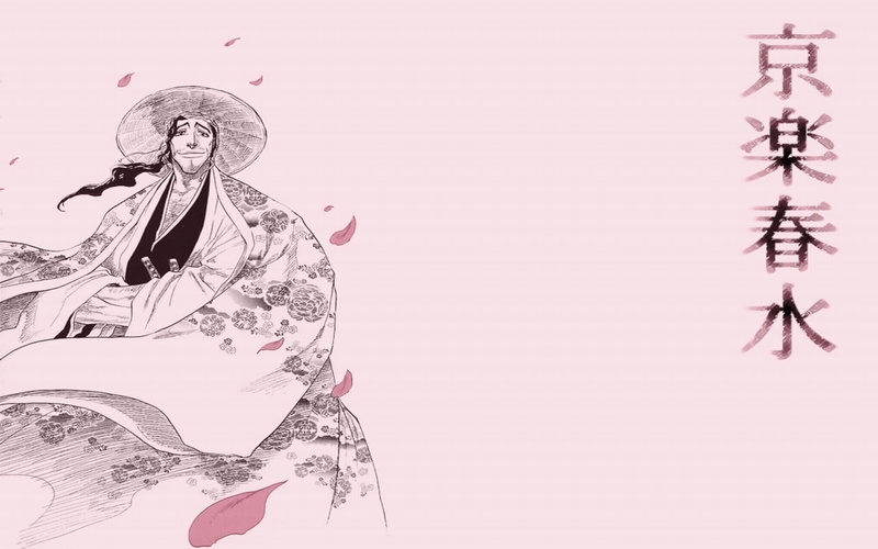 flower petals, shunsui, 720P, bleach, hd, art, flower, anime, kyoraku, petals, x