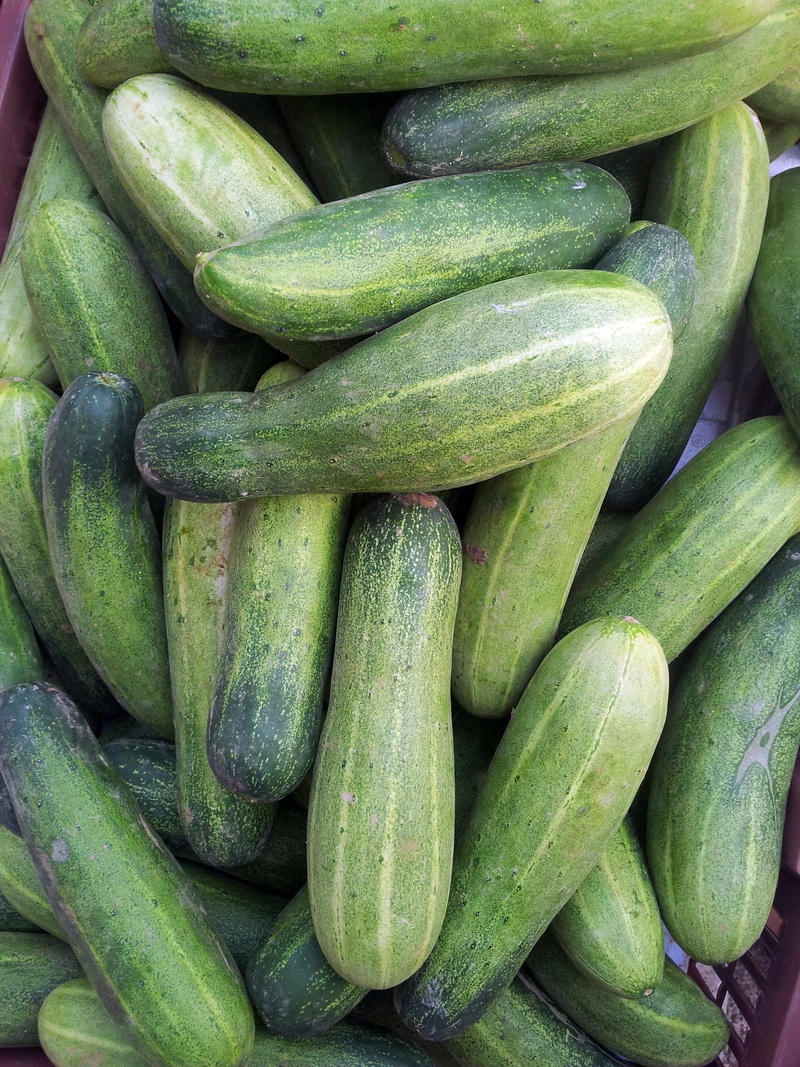 food and drink, fresh, healthy eating, cooking, green cucumber basket, agriculture, wellbeing, freshness, plant, backgrounds, 1080P, cucumber, ripe, consumerism