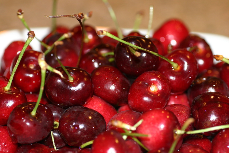 cherry, wellbeing, abundance, plant, healthy, freshness, berries, no people, spring, plant stem, food and drink, red, ripe, 2K, berry, fresh, juicy, close-up