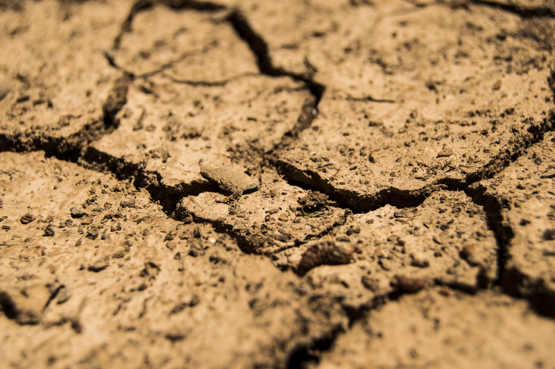 backgrounds, no people, aridity, soil, full frame, arid climate, 5K, dirt, day, mud, pattern, quartered, surface level, earth, cracked, sunlight, scenics - nature