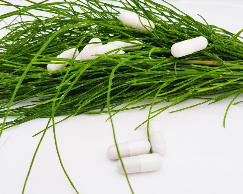 white background, composites, egg, celebration, freshness, grass, dietary supplements, nutrient additives, plant part, equisetum arvense, encapsulate, no people